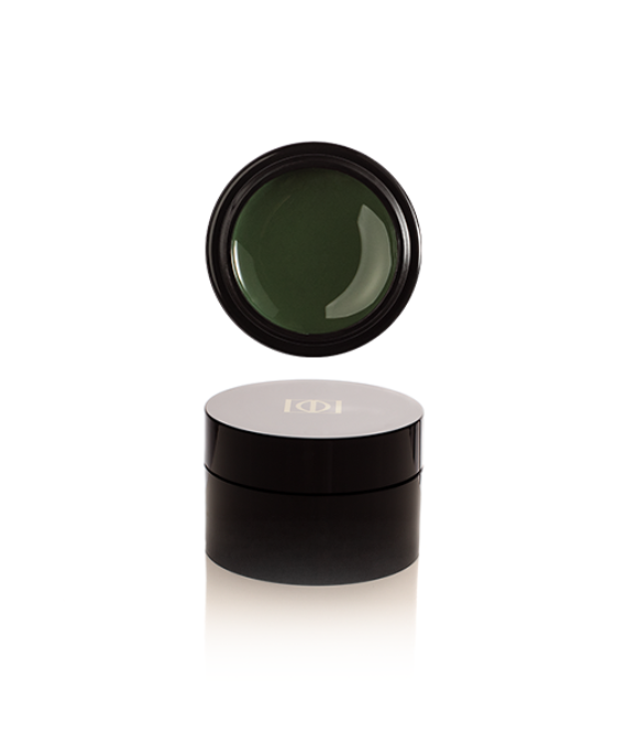 Premium Color gel «Didier Lab» Camouflage Yourself / 5g
